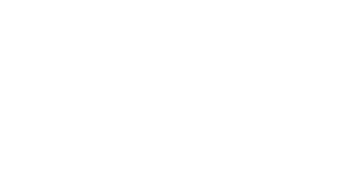 Stein Fibers logo