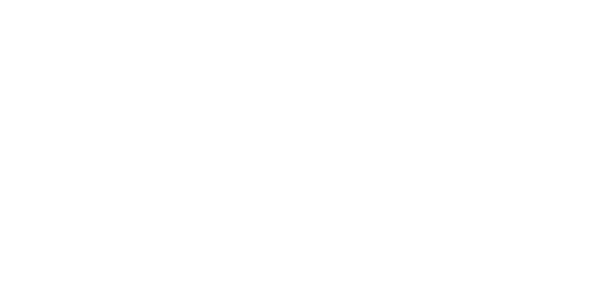 Stein Fibers logo